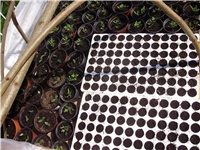 396a0fd0-anita 01 066.jpg